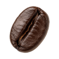 Cashew Nut