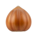 Hazelnut